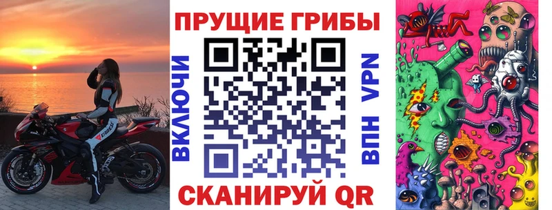наркота  Сальск  мега как зайти  Псилоцибиновые грибы GOLDEN TEACHER 