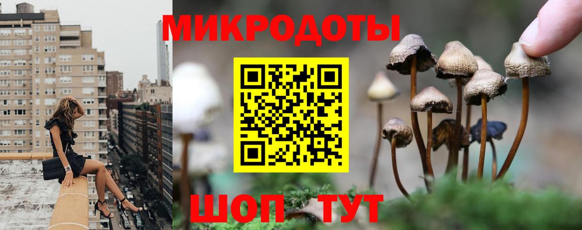 Сальск  Псилоцибиновые грибы мухоморы  Вход с VPN 